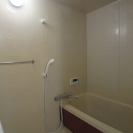 (バス/シャワー)